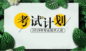 2018年度專業(yè)技術人員資格考試計劃